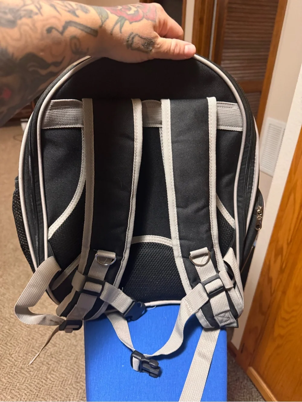 Transparent Bubble Small Pet Carrier and Harness